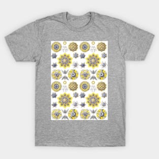 Macro Sea Creatures Amoeba T-Shirt